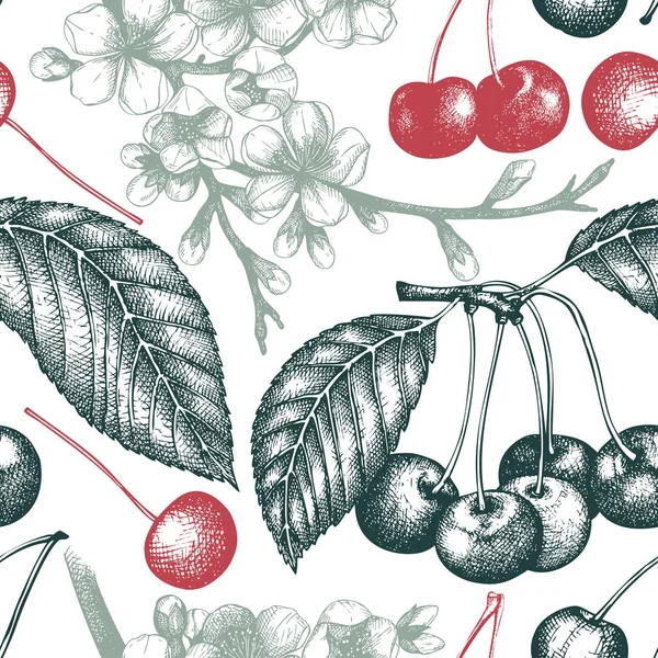 Vector cherry vintage achtergrond — Stockvector