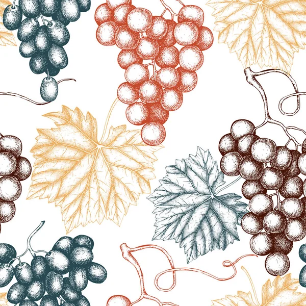 Uvas de fondo vintage — Vector de stock