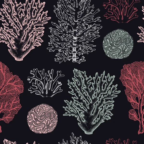 Ύφαλος κοράλλια χωρίς ραφή πρότυπο — Διανυσματικό Αρχείο