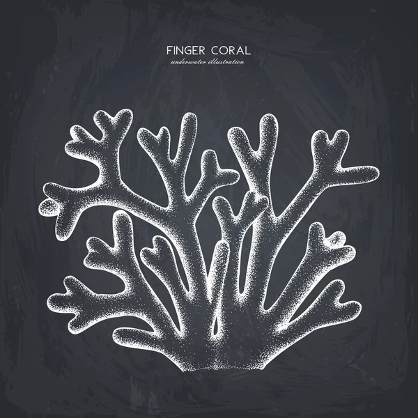 Sketsa koral finger - Stok Vektor