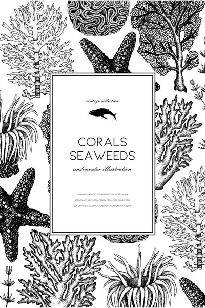 Vintage seaweeds design template — Stock Vector