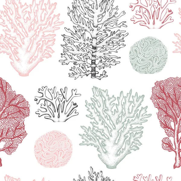 Reef koraller sömlösa mönster — Stock vektor