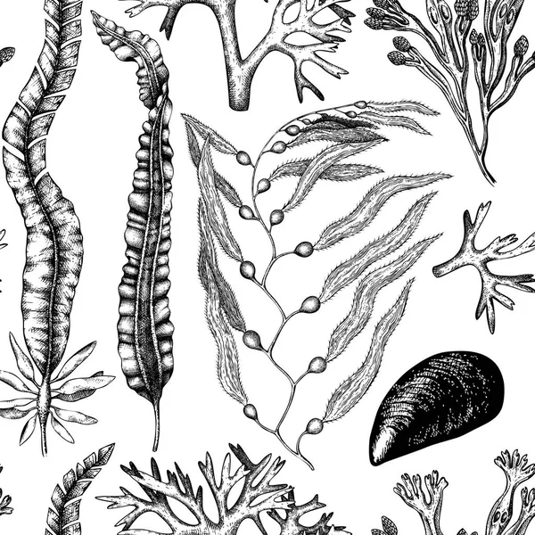 Безшовный рисунок водорослей — стоковый вектор