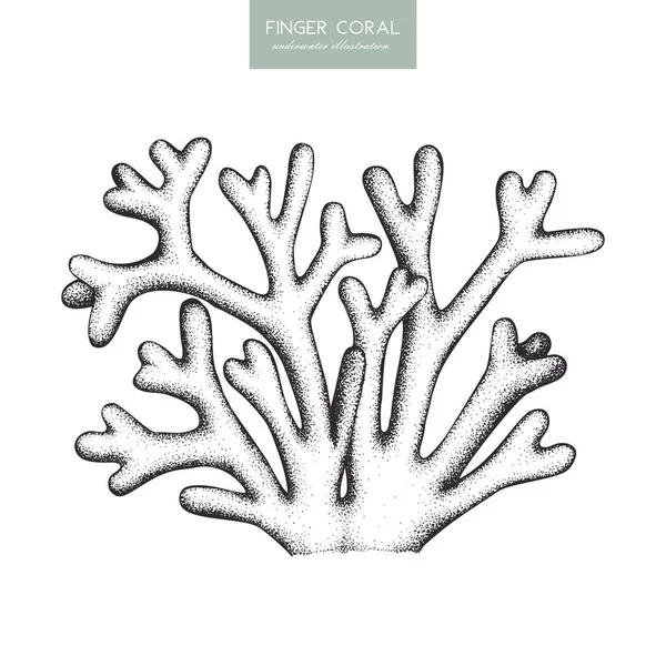 Esbozo de coral dedo — Archivo Imágenes Vectoriales
