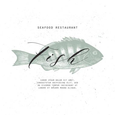 Elle çizilmiş balık illüstrasyon. Deniz ürünleri illüstrasyon vektör şablonu el ile çizilmiş. Vintage kartı veya el ilanı tasarımı ile deniz ürünleri. Restoran Menü.