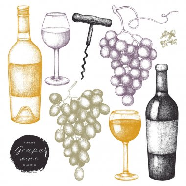 Vintage üzüm şarap ayarlayın. Vektör çizim bardak şarap, üzüm, şişe ile. Elle çizilmiş alkollü içki kroki beyaz arka plan üzerinde.