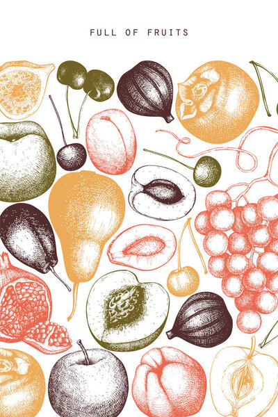 Vintage fruits and berries - fig, apple, pear, peach, apricot, persimmon, pomegranate, quince, grapes. Hand drawn harvest sketch. Summer or autumn design. Vector illustration