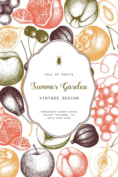 Vintage Meyve Çilek Elle Çizilmiş Hasat Kroki Yaz Sonbahar Tasarım — Stok Vektör