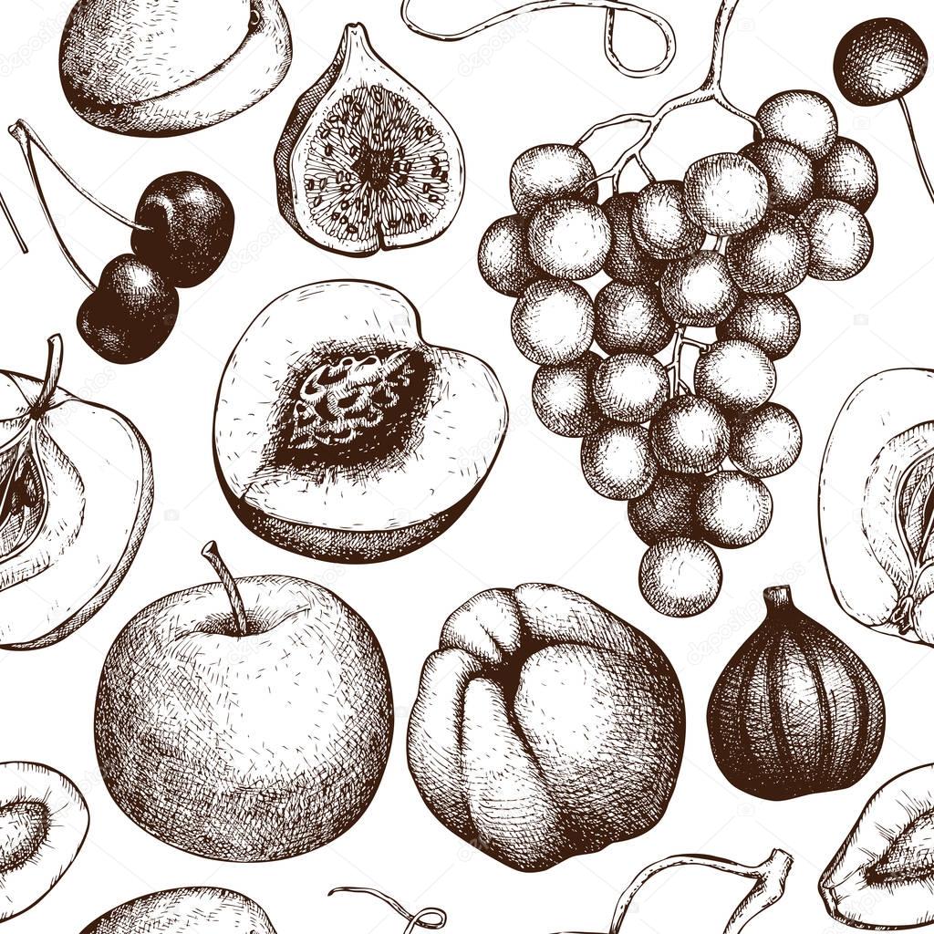 Vintage fruits and berries background. Hand drawn harvest sketch. Summer or autumn seamless pattern. Vector illustration