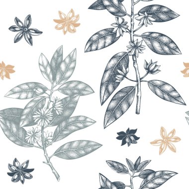 Seamless modeli el çekilmiş badiane ağaç yaprakları, çiçek ve tohum. Vektör arka plan gerçek anason ağaç ile. Aromatik öğeleri şekil.