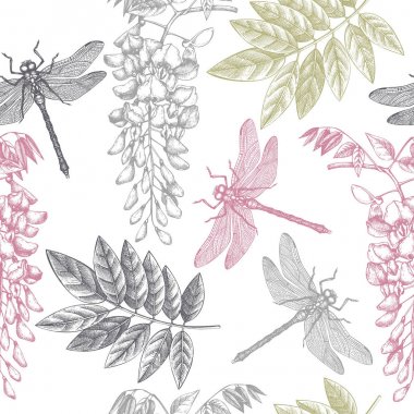 Elle çizilmiş dargonfly ve wisteria flowres ile Seamless modeli. Vektör böcekler kroki. Vinatge bahar arka plan. Botanik illüstrasyon.
