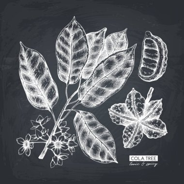 Vintage el çekilmiş poster cola ağaç ile