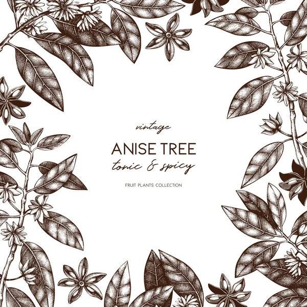 Рука Намальована Вінтажним Плакатом Анісовим Деревом — стоковий вектор