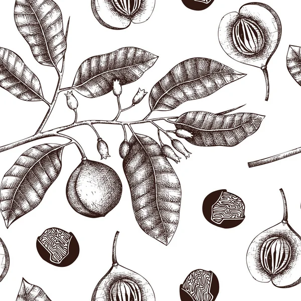 带滋补和辛辣植物的手工绘制无缝图案 — 图库矢量图片