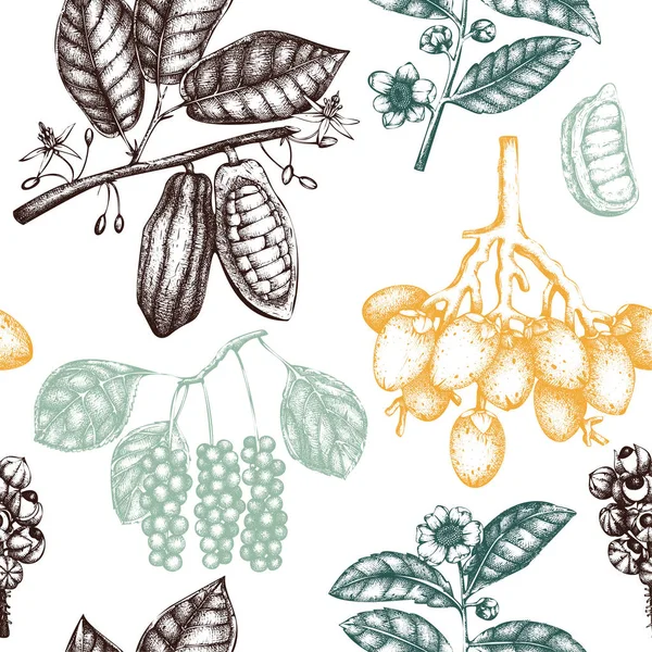 Modèle Sans Couture Dessiné Main Avec Des Plantes Toniques Épicées — Image vectorielle