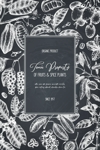 Вінтажна Рука Намальована Плакат Тонізуючими Рослинами — стоковий вектор
