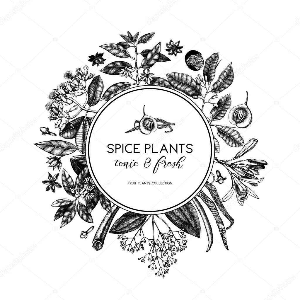 Vintage hand drawn poster with spice plants