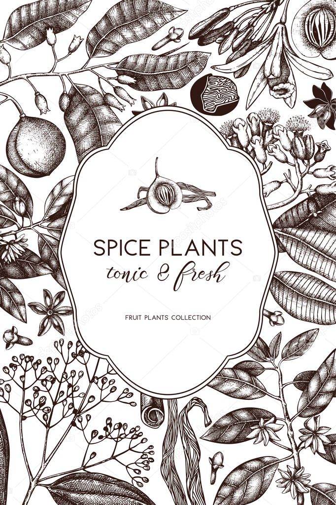 Vintage hand drawn poster with spice plants
