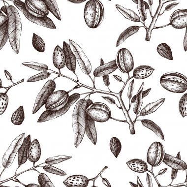 Vector Almond background. Hand drawn nut tree sketch, vector illustration. Botanical seamless pattern. Vintage tonic plant drawing. clipart