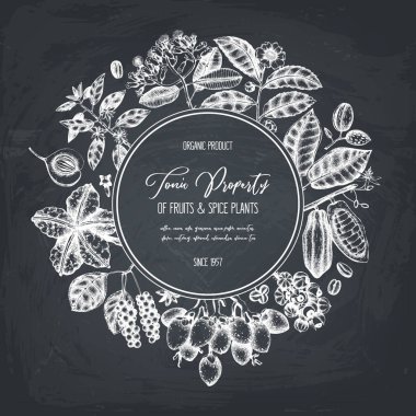 Tonik ve acılı bitkiler ile vektör tasarım şablonu. Elle çizilmiş baharat illüstrasyon. Vintage çerçevelemek ile aromatik başlangıç. Siyah arka plan üzerine parfümeri ve kozmetik malzemeleri