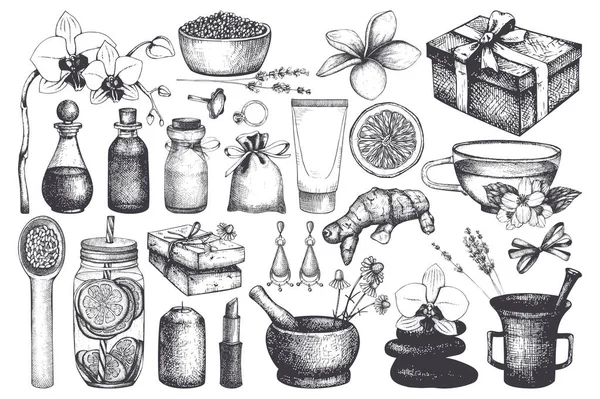 Zestaw Kosmetyków Spa Piękno Ręcznie Rysowane Ilustracji Wektorowych — Wektor stockowy