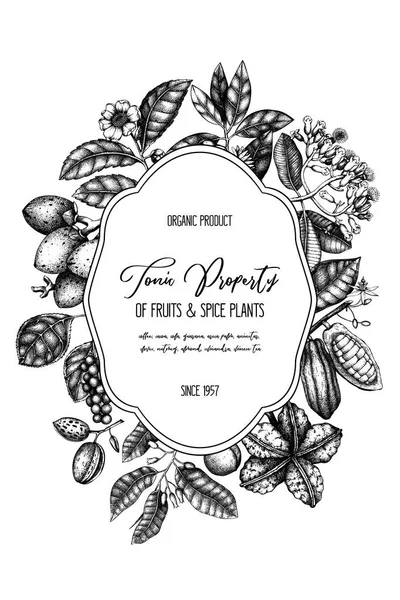 Vector Ontwerpsjabloon Met Tonic Kruidige Planten Hand Getrokken Specerijen Illustratie — Stockvector