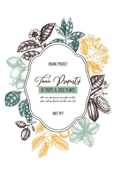 Vector Ontwerpsjabloon Met Tonic Kruidige Planten Hand Getrokken Specerijen Illustratie — Stockvector