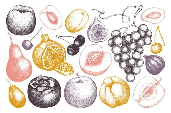 Ensemble Différents Types Fruits Dessinés Main — Image vectorielle