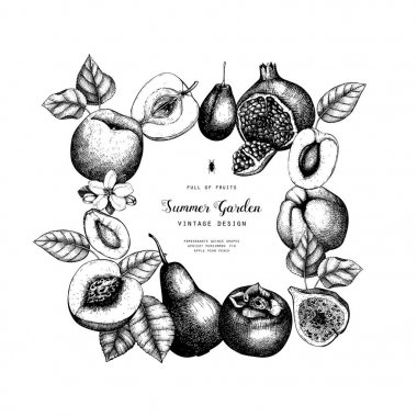 Vintage çerçeve elle çizilmiş olgunlaşmış meyve resimleri - incir, elma, armut, şeftali, kayısı, Trabzon hurması, nar, Ayva, üzüm çizim ile. Beyaz izole vektör şablon tasarımı.