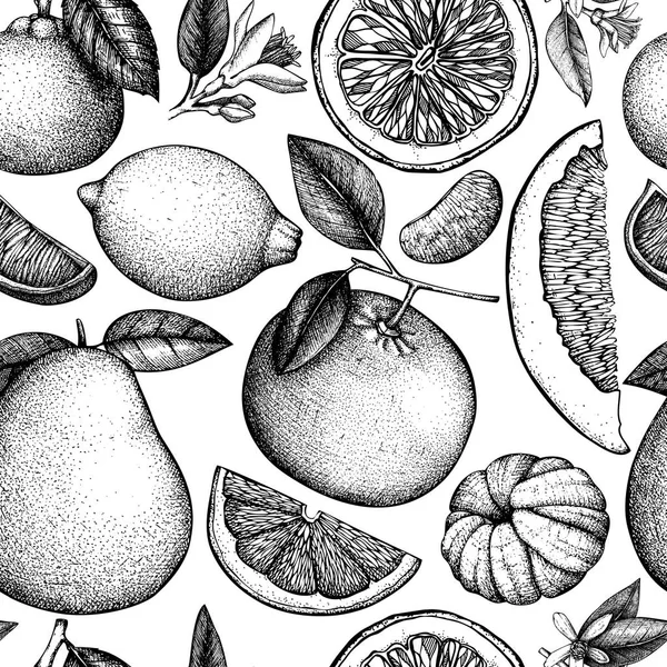 Vector Naadloze Patroon Met Inkt Hand Getekende Citrus Bloemen Slice — Stockvector