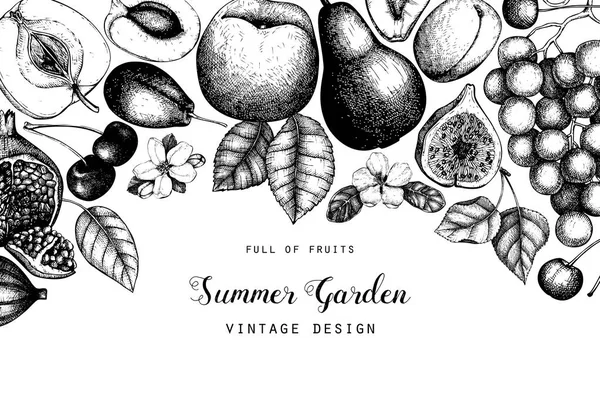 Modèle Vectoriel Desing Illustrations Fruits Dessinés Main Figue Pomme Poire — Image vectorielle