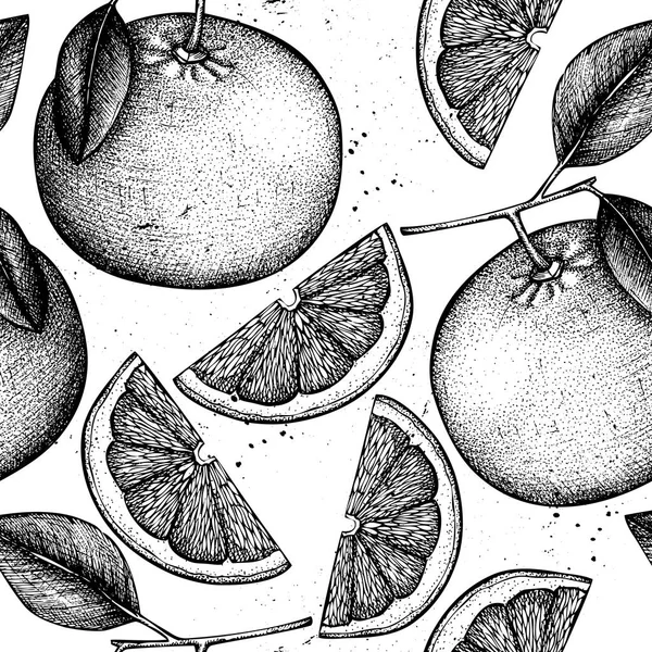 柑橘的无缝图案 柚子的背景 矢量葡萄柚插图 夏季水果画的标志 包装设计 — 图库矢量图片