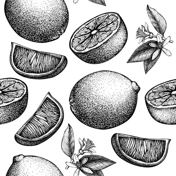 柑橘的无缝图案 石灰背景 向量果子例证 夏季绘画的标志 包装设计 — 图库矢量图片