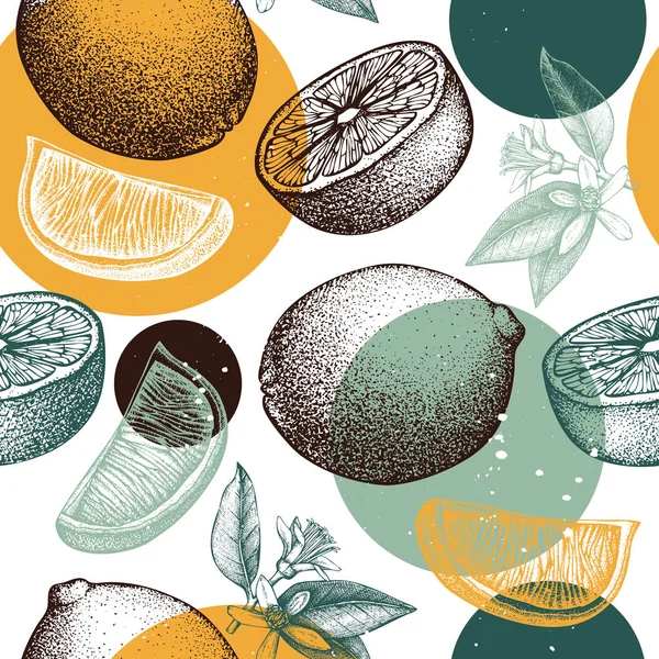 柑橘图案 石灰背景 向量果子例证 夏季绘画的标志 包装设计 — 图库矢量图片