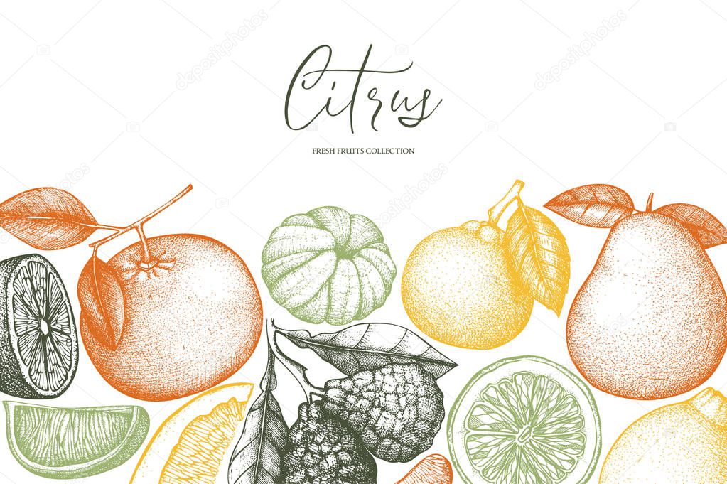 Citrus seamless pattern. Lime background. Vector fruit illustration. Summer drawing for logo, icon, label, packaging design.