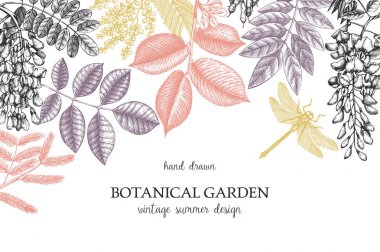 elle çizilmiş botanik poster yaprakları ve dalları farklı bitkilerin ile