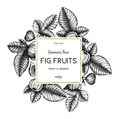 El poster incir meyve ile beyaz zemin üzerine çekilmiş.