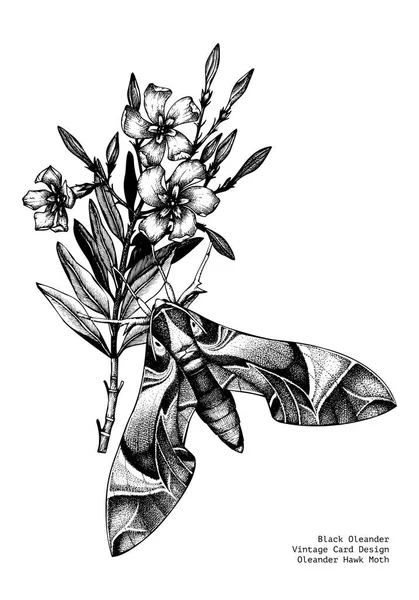 Fiore Oleandro Disegnato Mano Con Insetto Sfondo Bianco — Vettoriale Stock