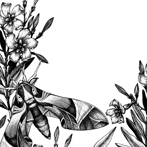 Hand Getekend Oleander Bloem Met Insect Witte Achtergrond — Stockvector