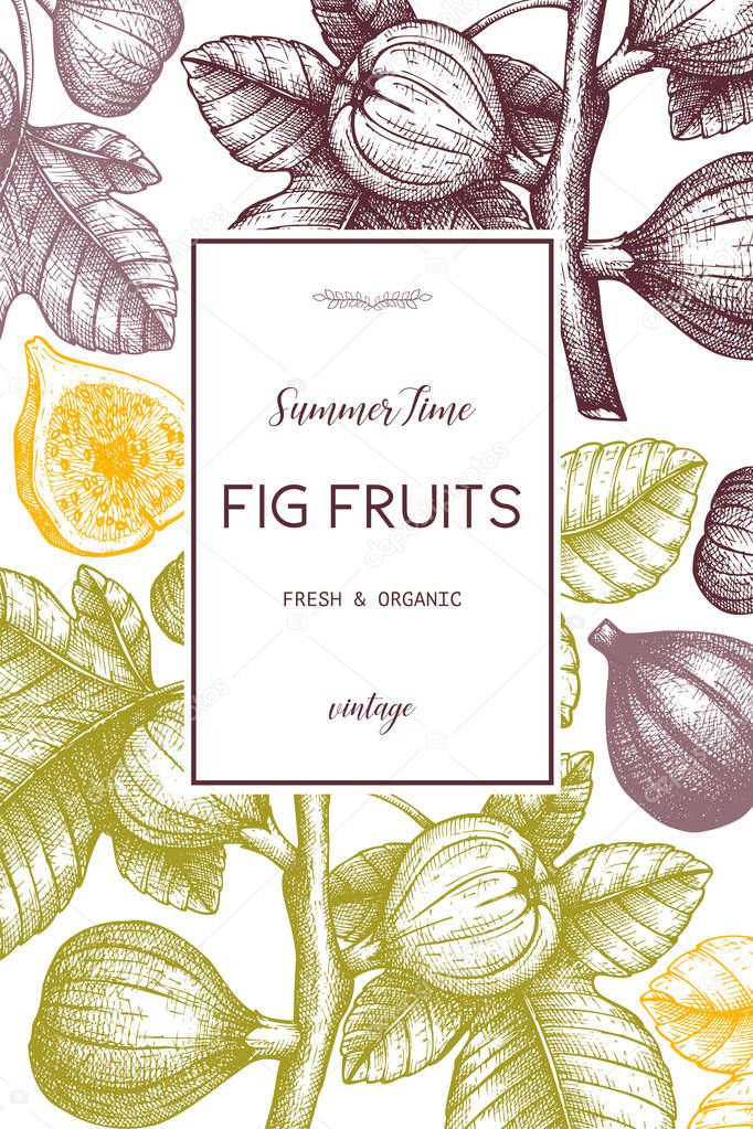 Hand drawn poster with fig fruit on white background