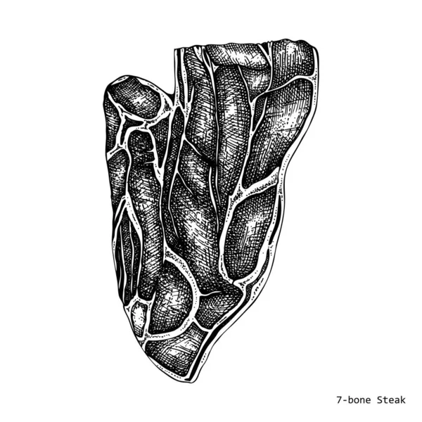 7-Bone Steak Vektor Illustration. Rohfleisch Draufsicht Zeichnung. han — Stockvektor