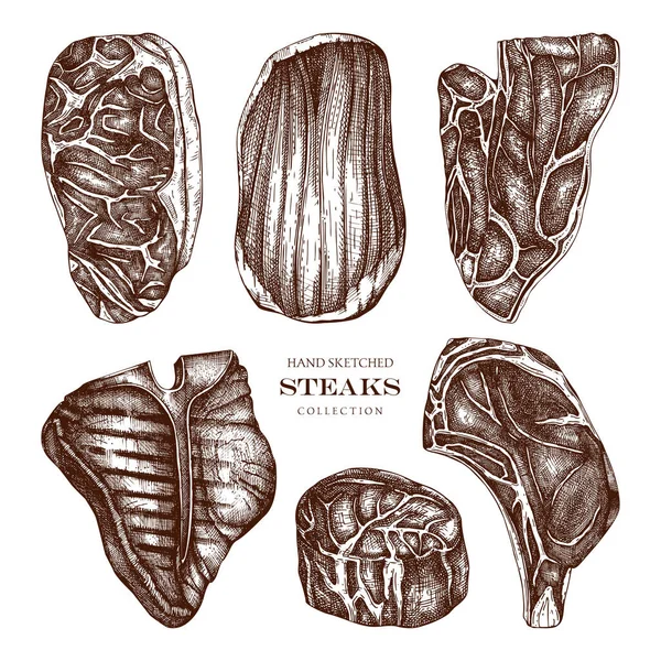 Raw meat top view sketches collection. Illustrations vectorielles de F — Image vectorielle