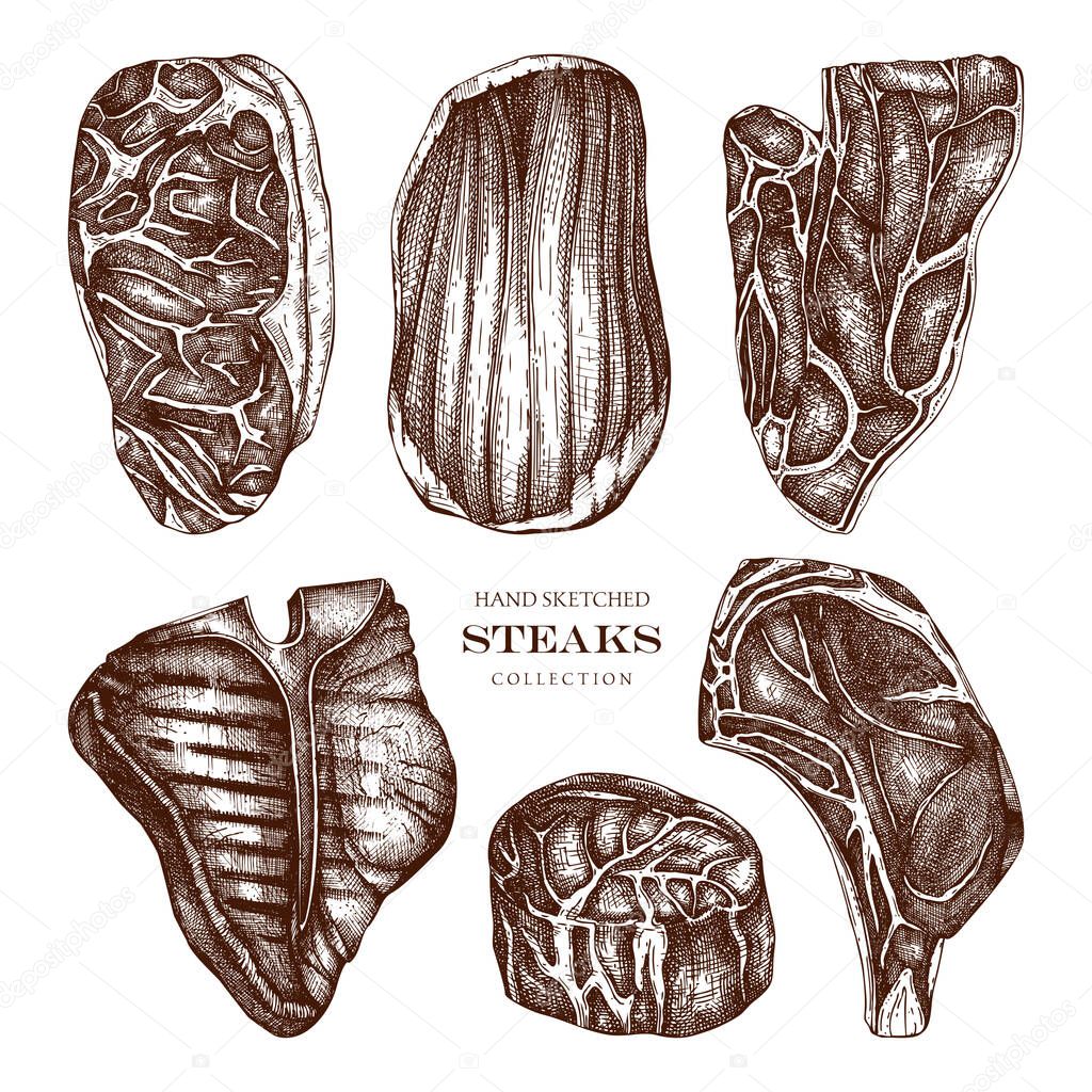 Raw meat top view sketches collection. Vector illustrations of F