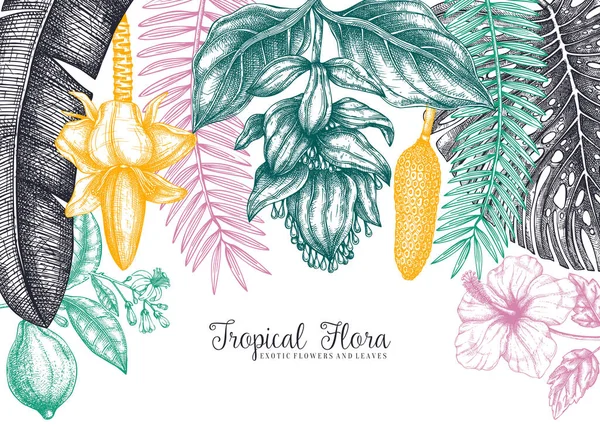 Botanisk sommardesign. Vektorram med tropiska växter, exot — Stock vektor