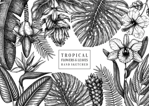 Design de verão com plantas tropicais. Flores exóticas desenhadas à mão —  Vetores de Stock