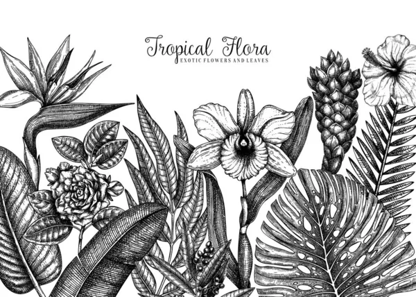 Diseño de verano con plantas tropicales. Flores exóticas dibujadas a mano — Vector de stock