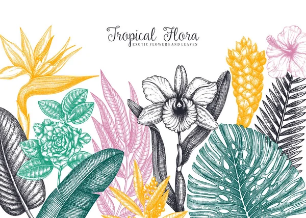 Cadre vecteur de flore exotique. Plantes tropicales, fleurs exotiques — Image vectorielle