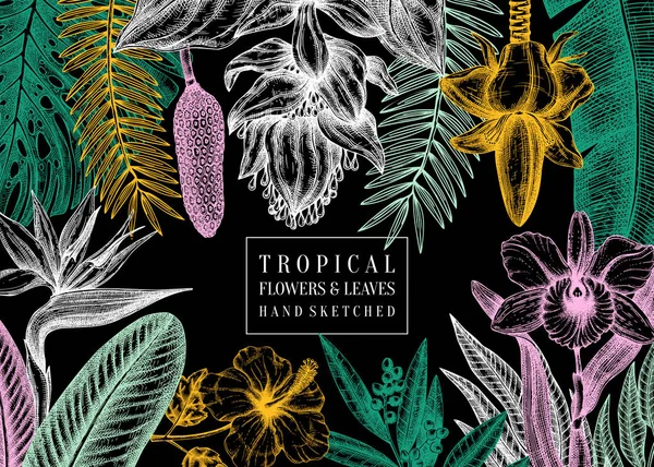 Exotisk flora vektor ram. Tropiska växter, exotiska blommor — Stock vektor