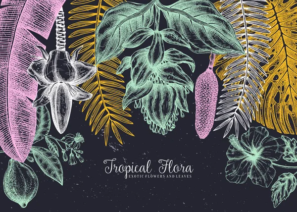 Дизайн рами тропічного раю. З намальованими руками екзотичними квітами — стоковий вектор