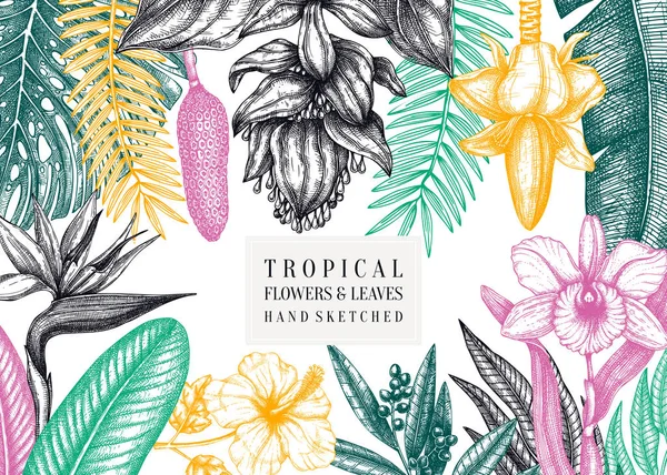 Paraíso tropical marco de diseño. Con flores exóticas dibujadas a mano — Vector de stock